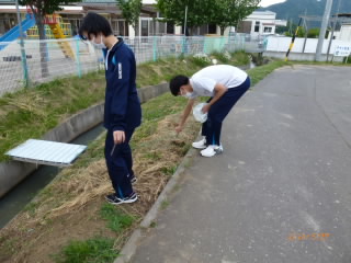 gomihiroi.JPG