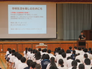 anzeniincho.JPG