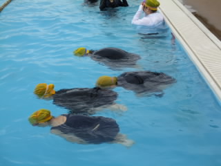 dive.JPG