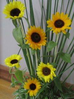 flowerup.JPG