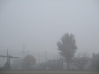 fog1.JPG