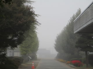 fog2.JPG