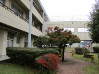 itsu.JPG