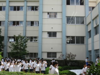 kaeru.JPG