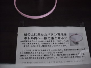 mijikarika91.jpg