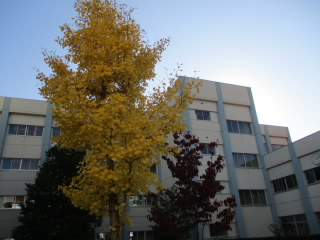 ooicho.jpg