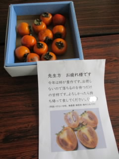 otanit.JPG