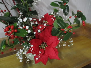poinsechia.jpg