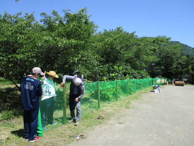 shisyo.JPG