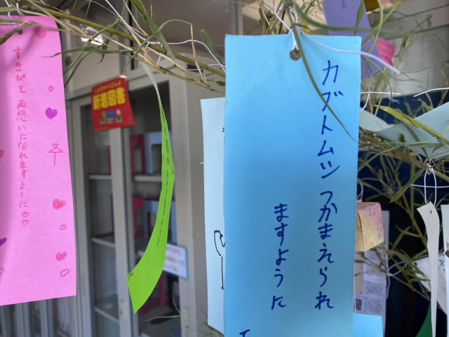 tanabata.jpg