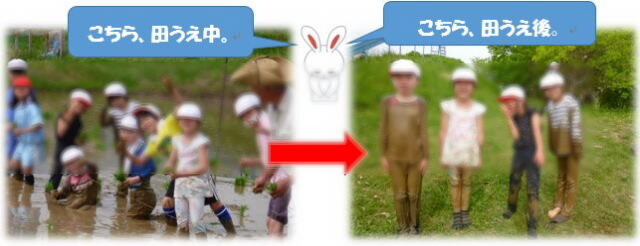 2nendoronko201.jpg