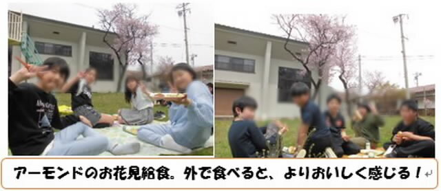 ohanami5501.jpg