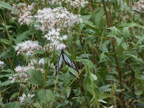 DSCN3286.JPG