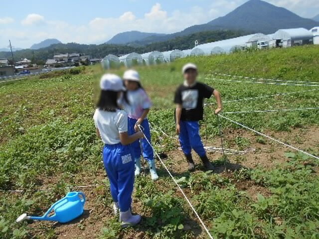 himawarikuikur401.jpg