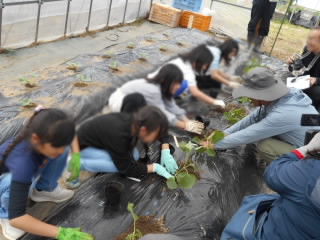 DSCN1669.JPG