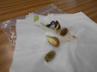 DSCN1960.JPG