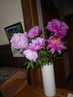 DSCN1961.JPG