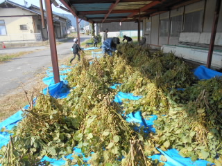 DSCN3554.JPG