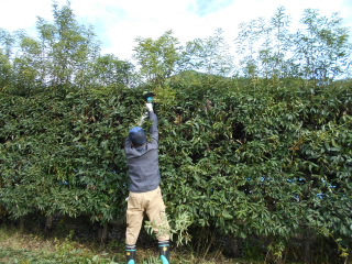 DSCN3572.JPG