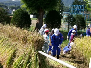 inekari2011.jpg