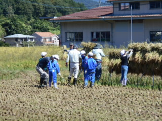 inekarri501.jpg