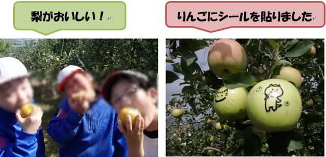 ringogo401.jpg