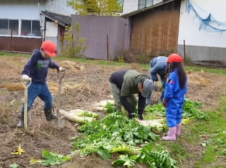 yakiimodaikon0162.jpg