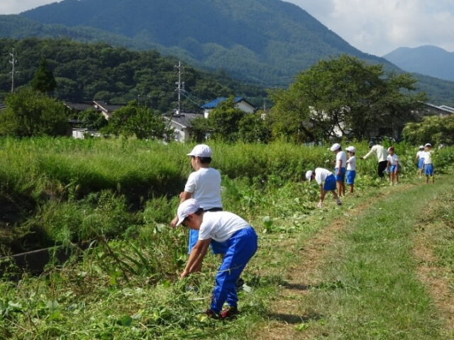 kosumosukaidou331.jpg
