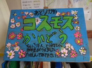 kosumosukaidou332.jpg