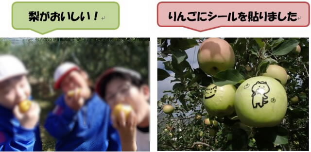 ringobatake4441.jpg