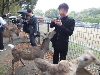 修学旅行③HP用.jpg