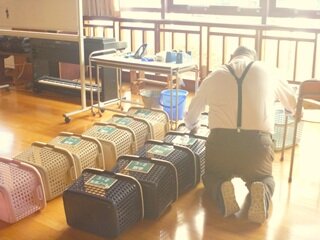 入学式準備③HP用.JPG