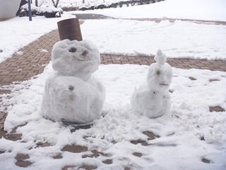 雪HP用.JPG