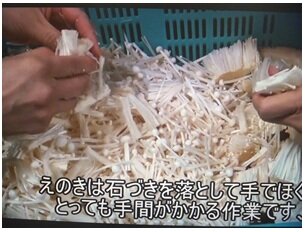 給食月間⑤HP用.jpg