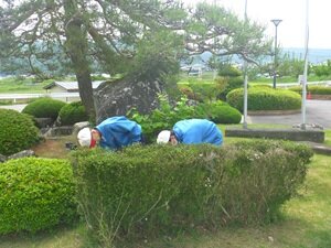 除草②HP用.JPG