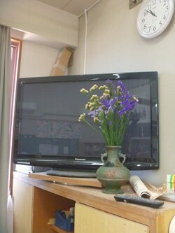 花③HP用.JPG