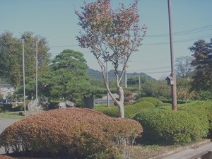 秋の訪れ①縮小.jpg
