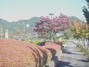 秋の訪れ②縮小.jpg