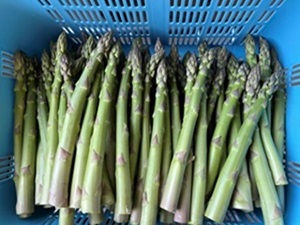 給食①縮小.jpg
