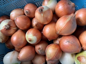 給食1縮小.jpg