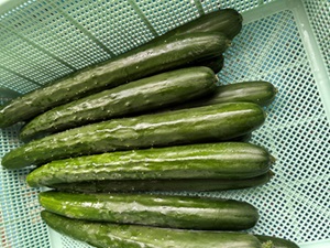 給食2縮小.jpg