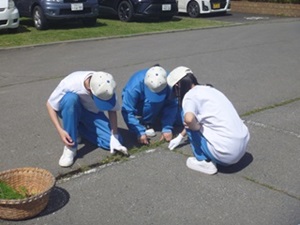 草取り②縮小.jpg