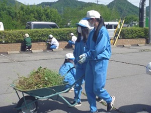 草取り③縮小.jpg